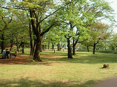 狭山湖の公園